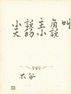 小说主角叫杨小天的小说