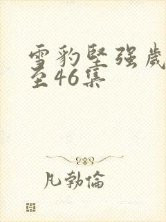 雪豹坚强岁月1至46集