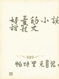 好看的小说推荐甜宠文