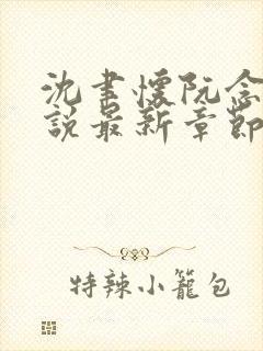 沈聿怀阮念一小说最新章节免费阅读