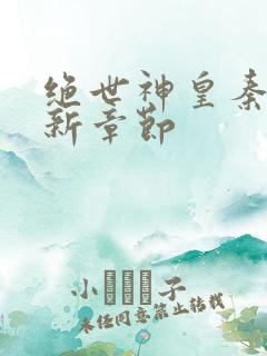 绝世神皇秦轩最新章节