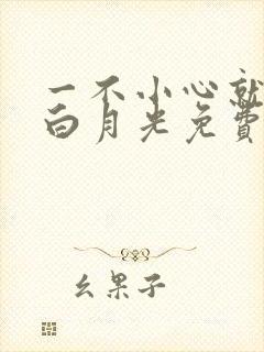 一不小心就成了白月光免费阅读