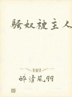 骚奴被主人调教