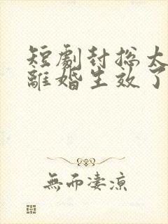 短剧封总太太的离婚生效了在线观看