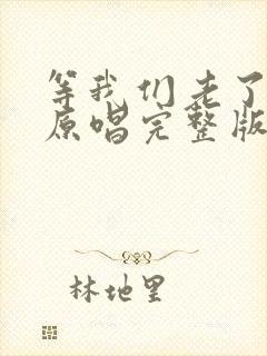 等我们老了以后原唱完整版