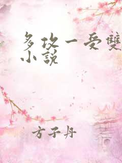 多攻一受双男主小说
