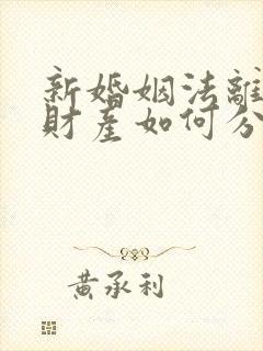 新婚姻法离婚争财产如何分割