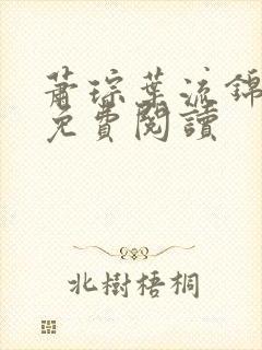 萧琮叶流锦全文免费阅读