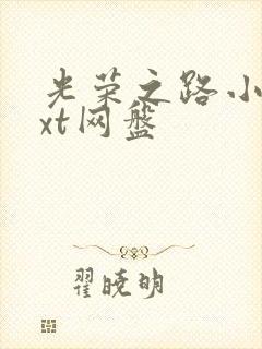 光荣之路小说txt网盘