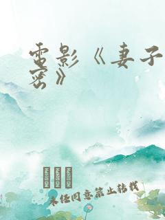 电影《妻子的秘密》