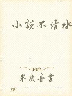 小说不清水po