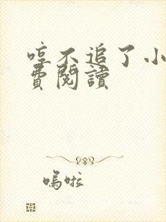 哼不追了小说免费阅读