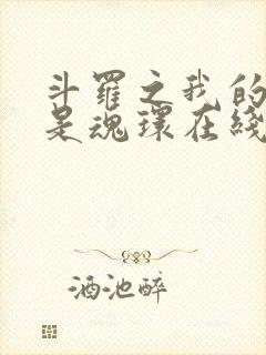 斗罗之我的武魂是魂环在线阅读全文