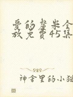 爱的厘米全集播放免费45集