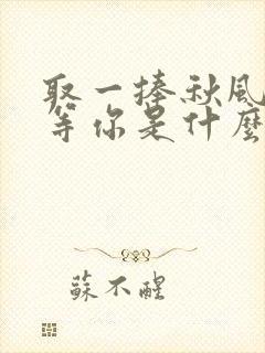 取一捧秋风我在等你是什么歌