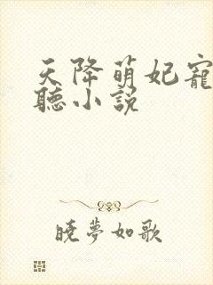 天降萌妃宠翻天听小说