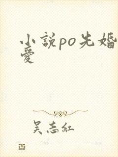 小说po先婚后爱