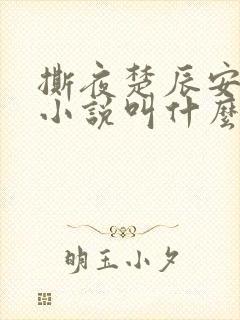 撕夜楚辰安原著小说叫什么