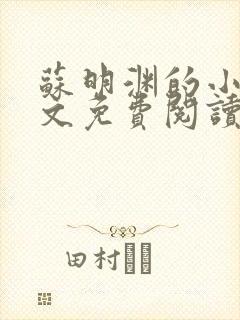 苏明渊的小说全文免费阅读无弹窗