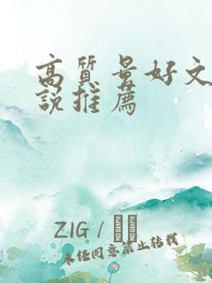 高质量好文笔小说推荐
