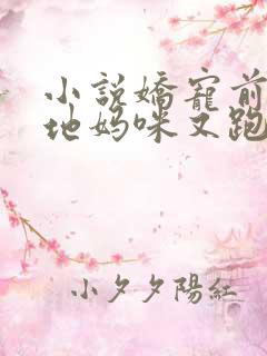 小说娇宠前妻爹地妈咪又跑了