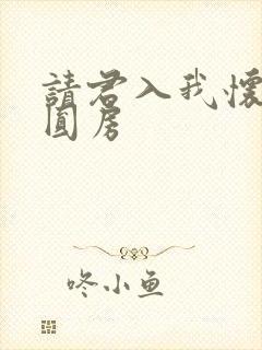 请君入我怀短剧圆房