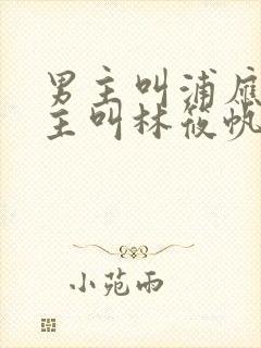 男主叫浦应辛女主叫林筱帆的小说