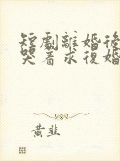 短剧离婚后前夫哭着求复婚完整版