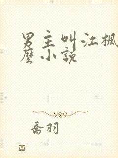 男主叫江枫是什么小说