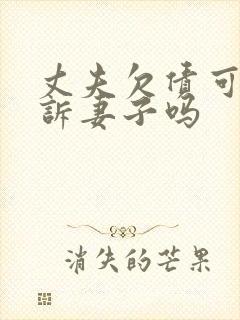 丈夫欠债可以起诉妻子吗