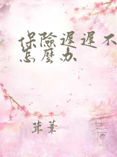 保险迟迟不理赔怎么办