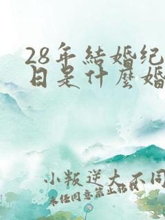 28年结婚纪念日是什么婚