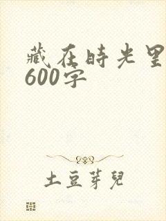 藏在时光里的爱600字