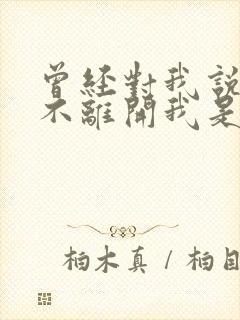 曾经对我说永远不离开我是什么歌