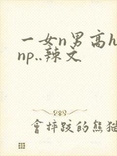 一女n男高h.np..辣文