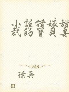 小说错嫁甜婚总裁的宝贝妻