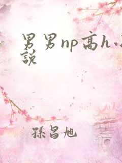 男男np高h小说
