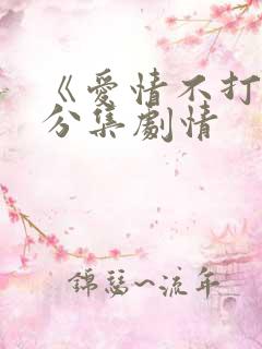 《爱情不打烊》分集剧情