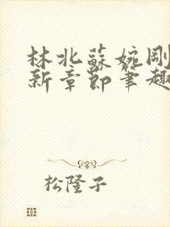 林北苏婉刚刚更新章节笔趣阁