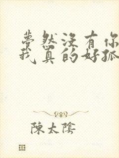 梦然没有你陪伴我真的好孤单演唱会