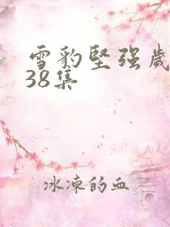 雪豹坚强岁月第38集