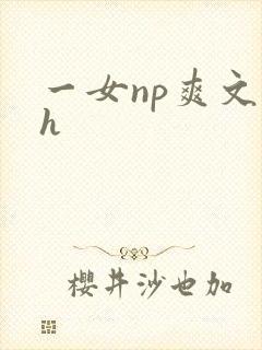 一女np爽文高h