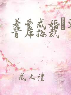 惹爱成婚·染指首席总裁