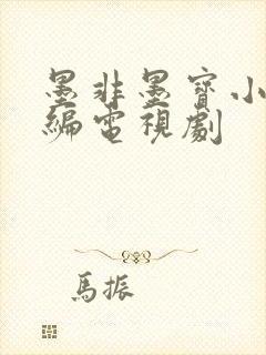 墨非墨宝小说改编电视剧