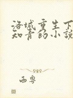 洛城重生下乡当知青的小说叫什么