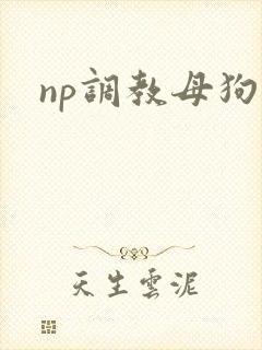 np调教母狗