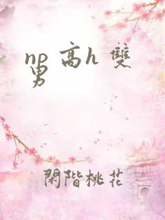 np 高h 双男