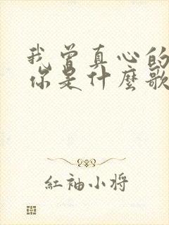 我曾真心的爱过你是什么歌的歌词