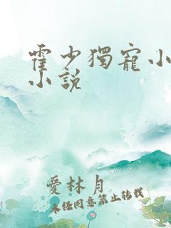 霍少独宠小娇妻小说