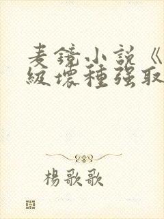 麦镜小说《被顶级坏种强取豪夺了》